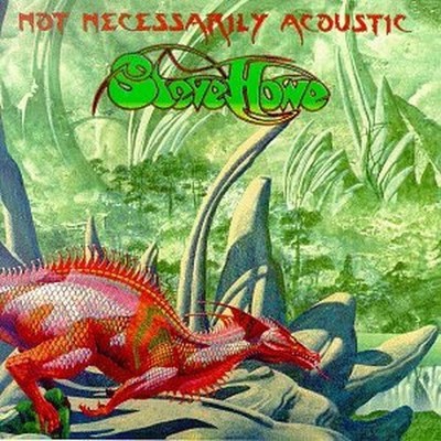 Howe, Steve - Not Necessarily Acoustic - Howe, Steve CD 01VG The Cheap Fast Free