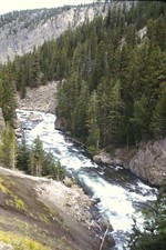 1986 Slide Kodachrome Mountain River Forest Landscape Nature Scenic Travel Photo