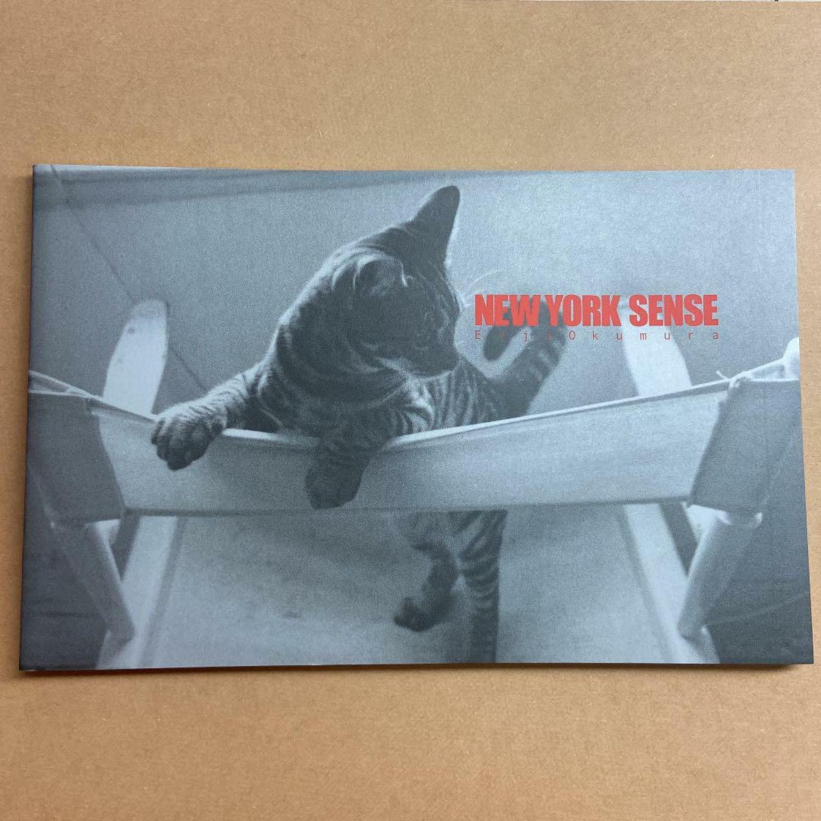 BANANA FISH New York Sense Eiji Okumura First Photobook Japan eBay