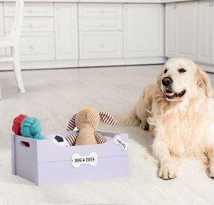 bone storage bin