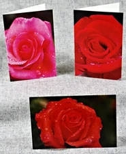 Summer Roses After a rainstorm Set of 3 Blank Photo Notecards
