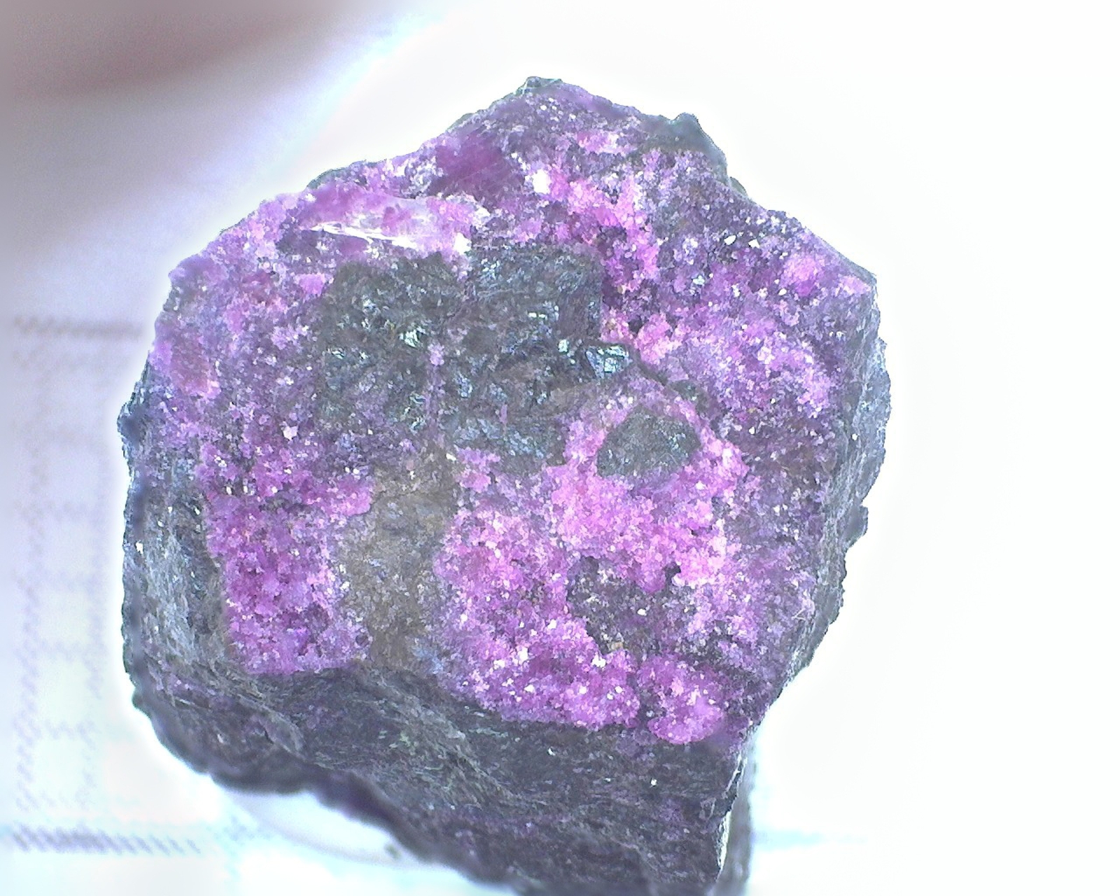Picture 1 of 1