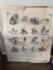 eBay Auction Picture