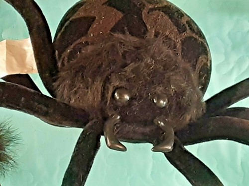 Large 4 Ft Long SPIDER & 18" Baby SPIDER Both w/ Posable Legs Halloween Props - Picture 4 of 12