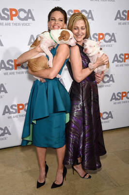Hilary Swank Edie Falco at ASPCA'S 18th Annual Bergh Ball honoring - Old Photo 6