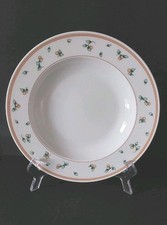 (1 di 4) Zuppa Pasta Piatto Maggiolino Monaco Eschenbach Chianti 23 cm come nuovo