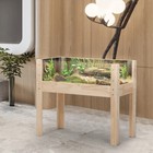 New ListingWooden Tortoise House - Turtle Habitat w/ Viewing Windows - Indoor Reptile Cage