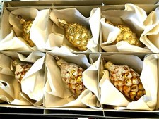 VINTAGE-NEW Box of 6 Large Snowy Pinecone Mix Glass Christmas Ornaments Poland