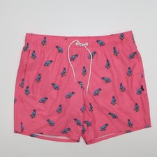 Hollister Swim Shorts Mens Size XL Pink Casual Trunks Lined Surf Dinosaurs Surf