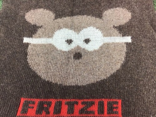 Vintage Oilily Wool Turtle Neck Bear Sweater boys girls kids 10 140 Hoodie RARE - Picture 3 of 9