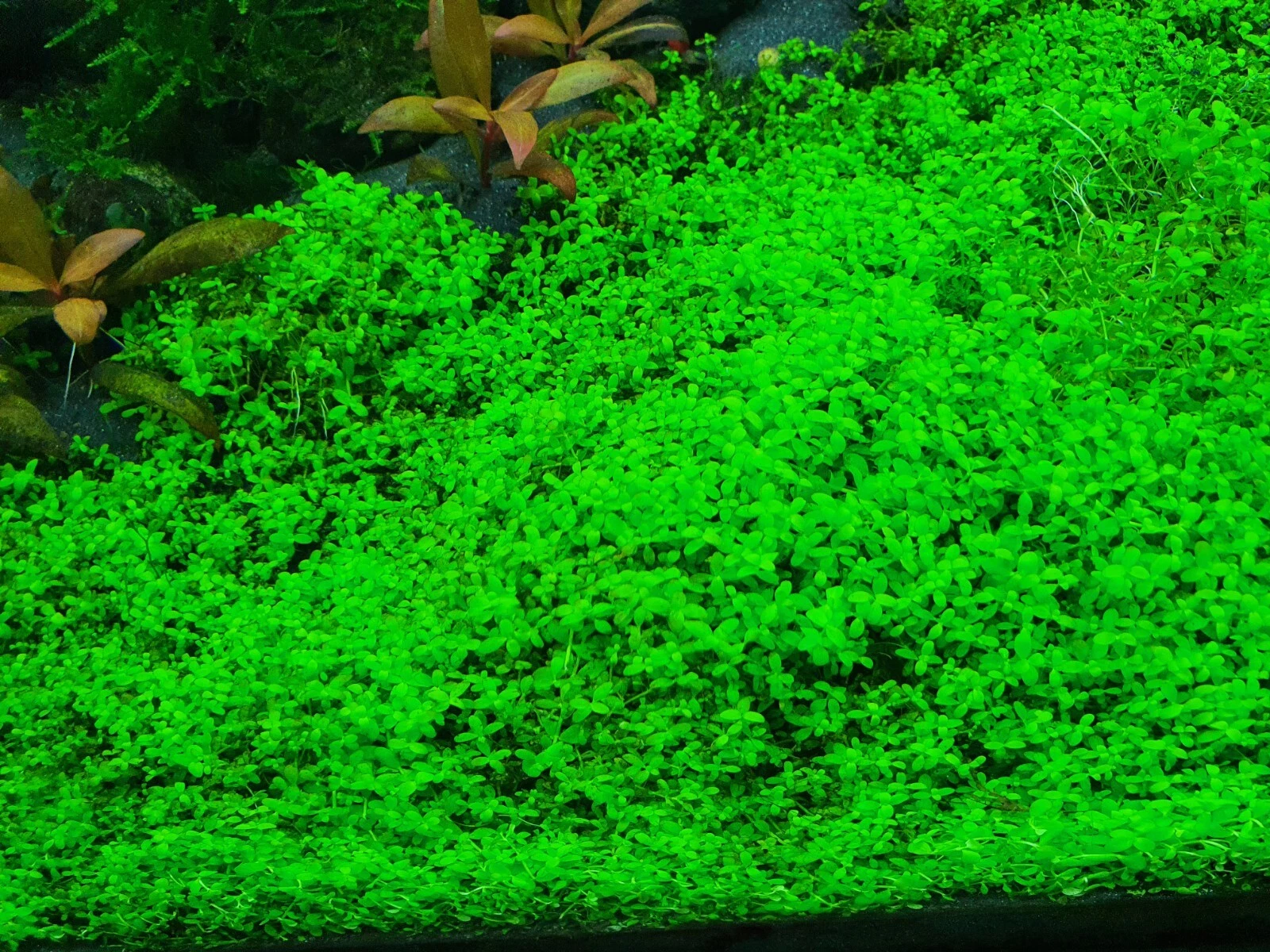 Picture 1 of 3