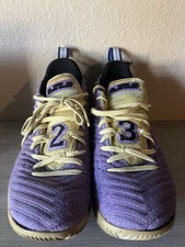 lebron 16 lakers championship