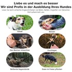 Bild 8 von 19