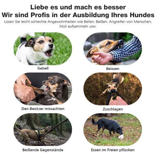 Elektroschock Pet Dog Training E-Halsband Anti-Bark Obedience Stromschlag DHL - Bild 8 von 19