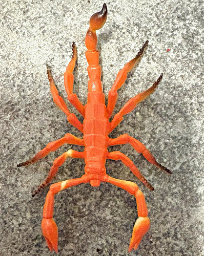 Scorpion Figurine Toys Orange with Black & Beige China Marked Plastic