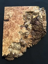Lace Maple Burl, Live Edge, 10” Long, 9 1/4” Widest, 1 3/4” Thick, Dry