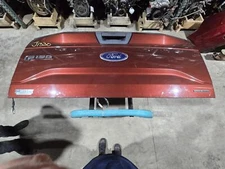 2015-2017 Ford F150 Lid/Gate W/O Aluminum Trim Panel, Camera. Or Step; Scratch