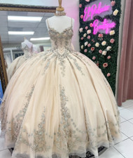 Light Champagne Quinceanera Dresses with Straps Bow Sweet 15 16 Ball Gowns