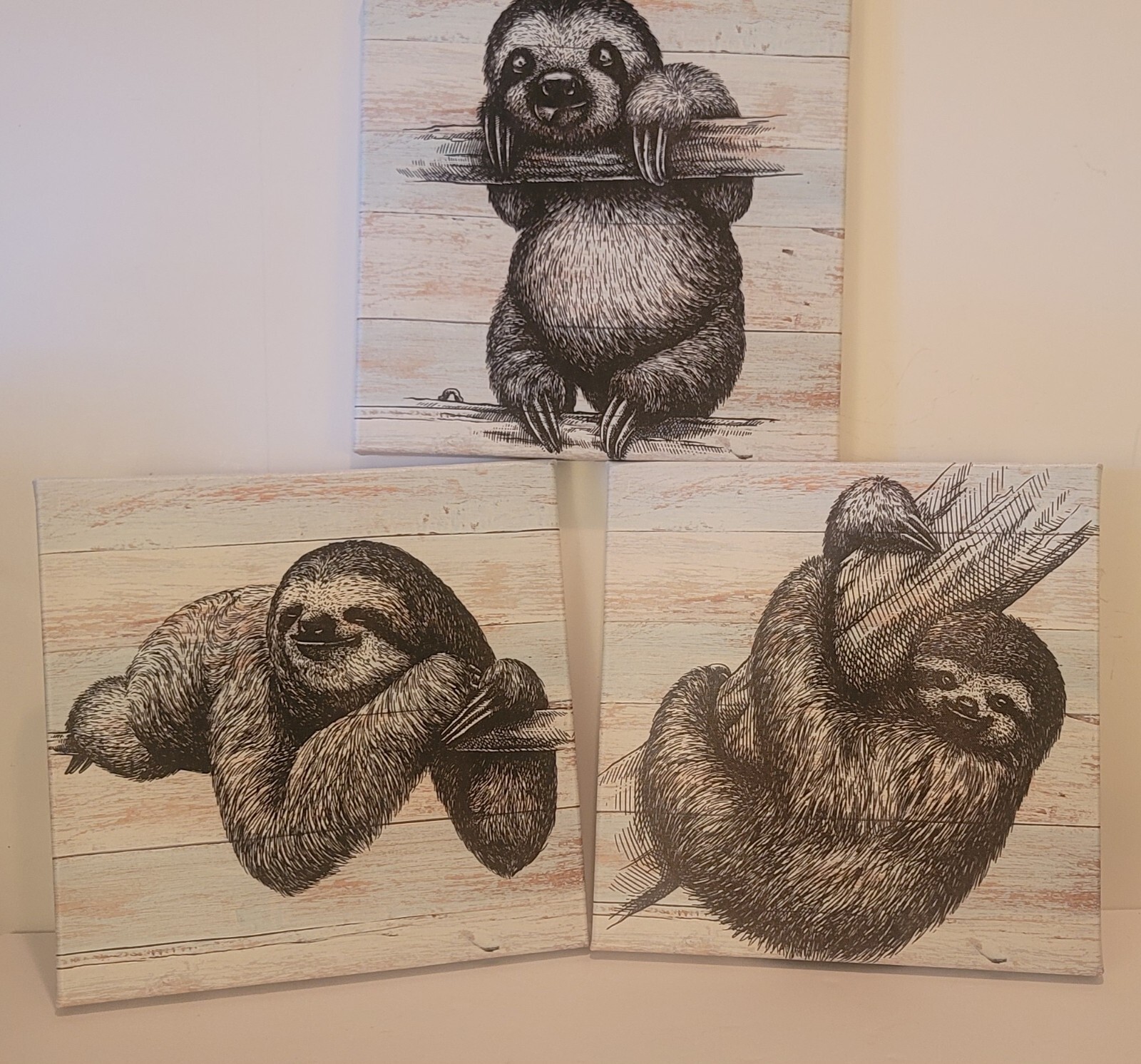 Sloths Iknow FOTO 3Pc Cute Baby Sloths Canvas Prints Used 12x12 See Pics Plz