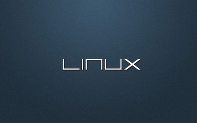 linux mint usb portable instalable operator system