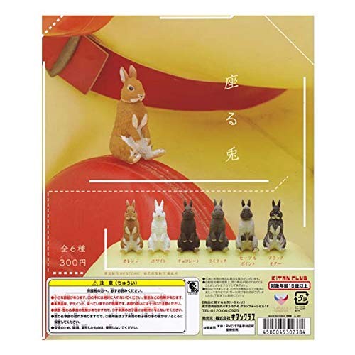 capsule toys Kitan Club sit rabbit Gashapon 6 set complete mini ... book form JP
