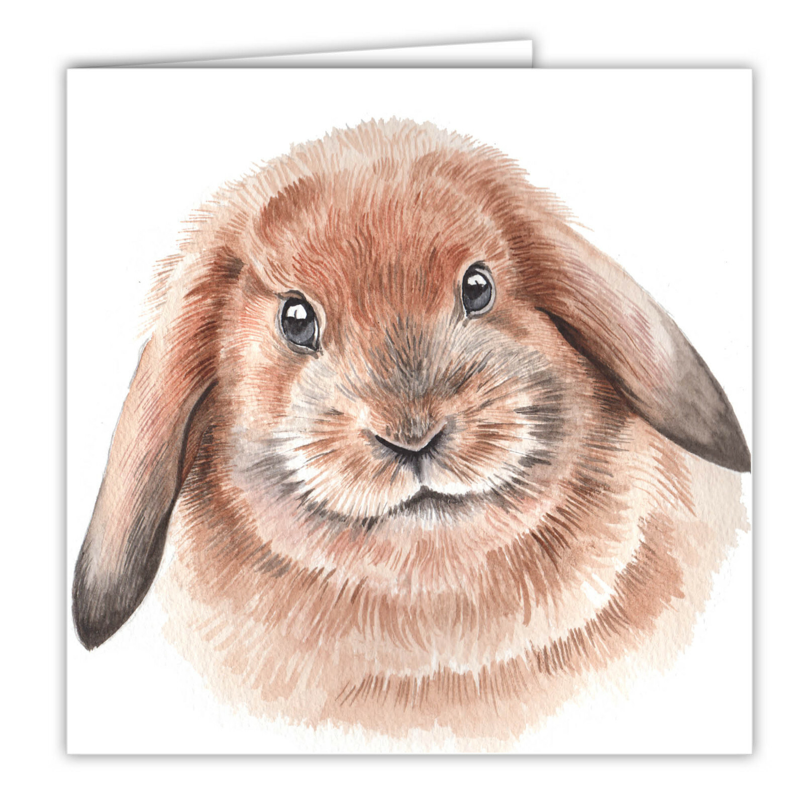 Rabbit greetings card rabbits blank card bunny pets WaggyDogz art card print