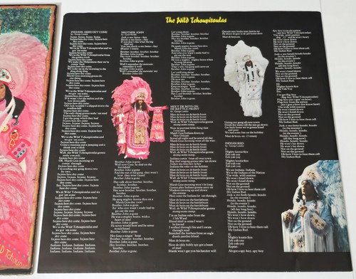 WILD TCHOUPITOULAS LP FUNK 1976 ISLAND RECORDS VINYL THE METERS BAYOU SOUL 12" - Imagen 16 de 22