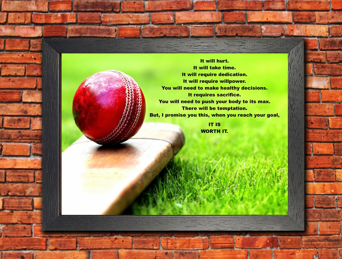 Inspirational Sports Quotes Cricket
