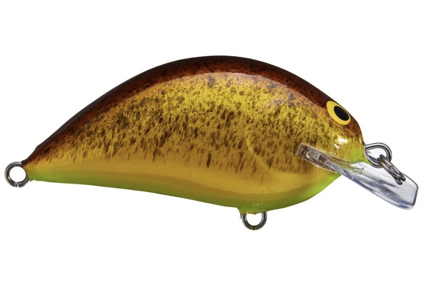 Bagley Balsa Pro Sunny B Squarebill Crankbait Choose Color eBay