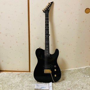 Fernandes Tej | eBay