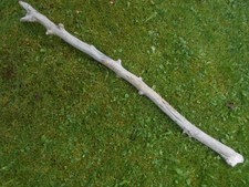 Skulptur ca.111 cm Schwemmholz Treibholz Tier Reptil  Schlange Terrarium  Deko