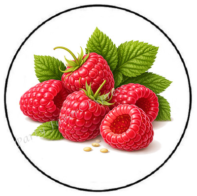 RASPBERRY RASPBERRIES ENVELOPE SEALS LABELS STICKERS PARTY FAVORS