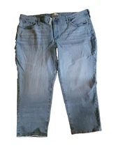 NWT Madewell The Perfect Vintage Jean  Sz 26W Plus Size $128 MSRP