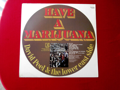 DAVID PEEL & THE LOWER EAST SIDE~ HAVE A MARIJUANA~ NEAR MINT~ ODD
