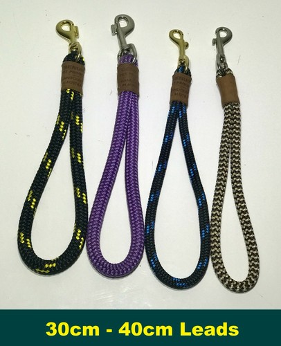 Dog Short Traffic Lead Leash Harness Collar Solid Rope AUSTRALIAN MADE - Picture 13 of 15