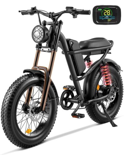 Electric Bike 1000W 48V 20.8AH Adult Bicycles 20" Fat Tire Mountain Dirt E-Bike