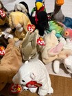 Ty Lot of 22 Beanie Babies Lot C — photo 9