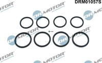 Dr.Motor Automotive DRM01057S Dichtring FüR Kerzenschacht FüR BMW