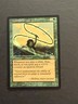 Quirion Dryad Planeshift LP/MP light bend MTG Magic the Gathering b