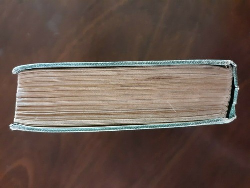 Die Perle von Orr's Island - Harriet Beecher Stowe / Eine Geschichte der Küste von Maine - Bild 3 von 12