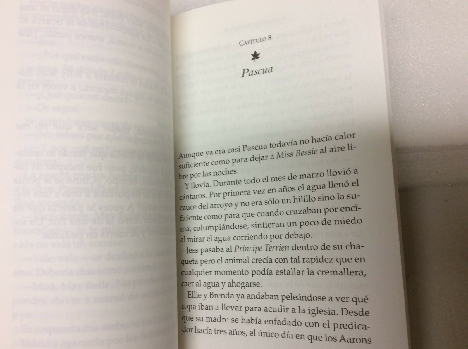 Imagen 9 de 11