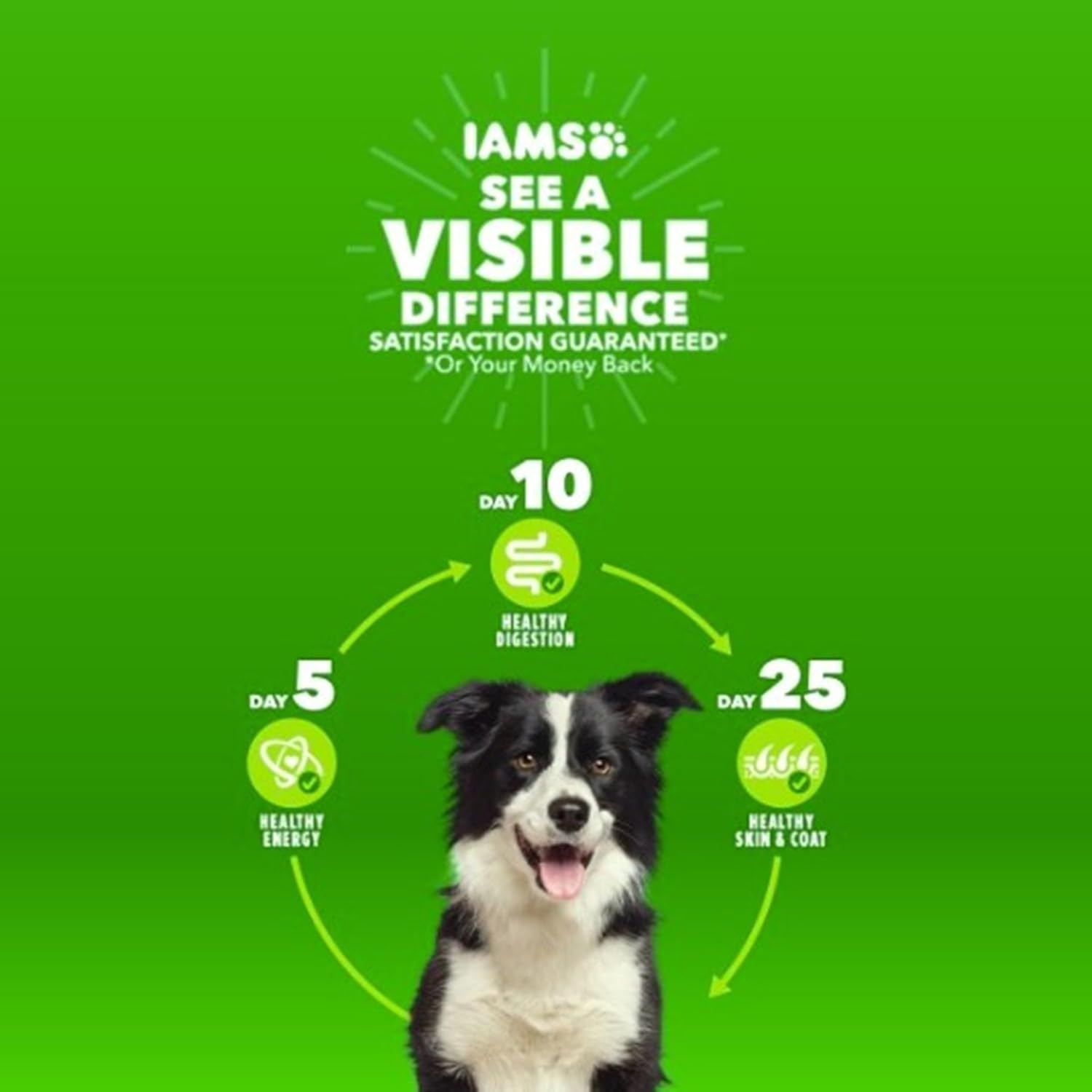 IAMS Proactive Health Minichunks Adult Dry Dog Food with Real Chicken, 30 Lb. 