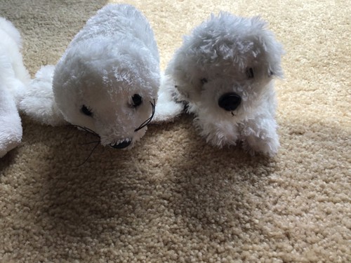LOT GANZ WEBKINZ TY STUFFED PLUSH ANIMALS TOYS PINKY OWL WHITE FOX SEAL DOG GIFT - Picture 6 of 12