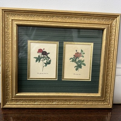 Framed Rose Prints By Pierre-Joseph Redoute Gerard Van Spaendonck  Reproduction