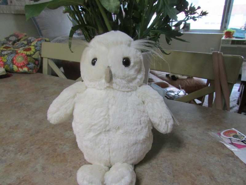 JELLYCAT "WOODLAND BABE CREAM OWL" NWT 11"