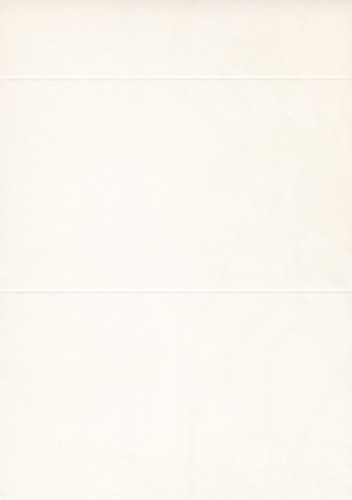 Unused Vintage LINDA K POWELL LKP Postalette, Wildlife Cute Frog Snail Grass Art - Picture 2 of 4
