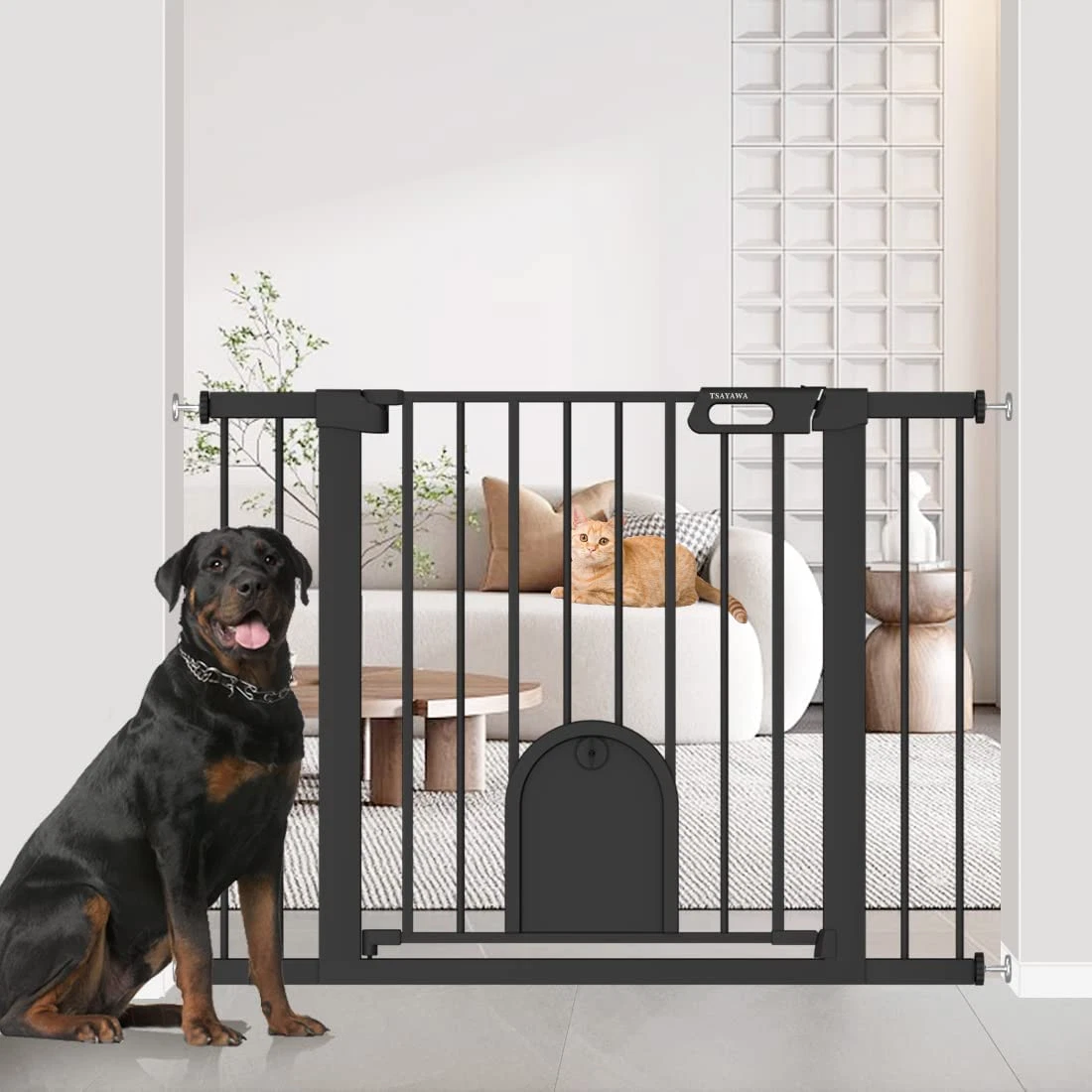 Baby gate cats can get best sale through