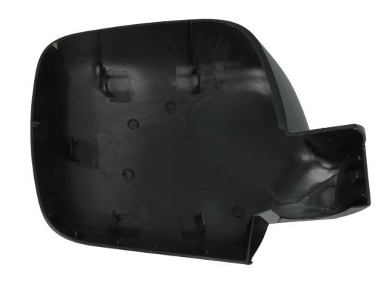 Left BLIC 6103-01-1323118P Housing, exterior mirror for RENAULT