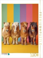 Calvendo Puzzle Colorful Miniature Pony Pictures With Rainbow Colors | 1000 Piec