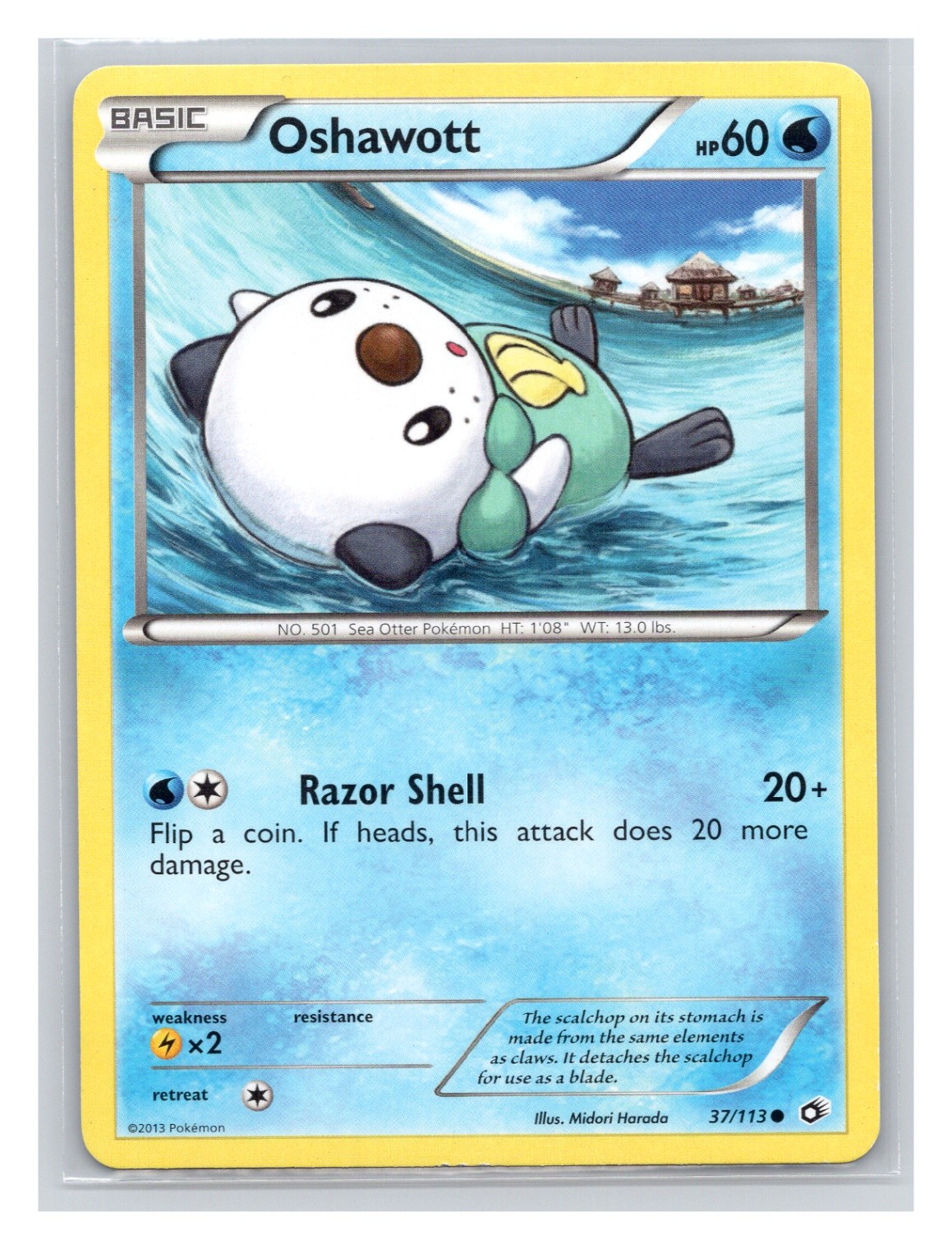 Pokémon TCG Oshawott 37/113 Legendary Treasures Normal LP